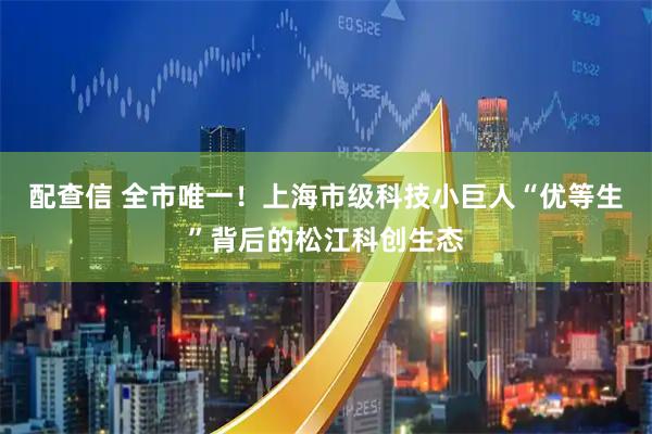 配查信 全市唯一！上海市级科技小巨人“优等生”背后的松江科创生态