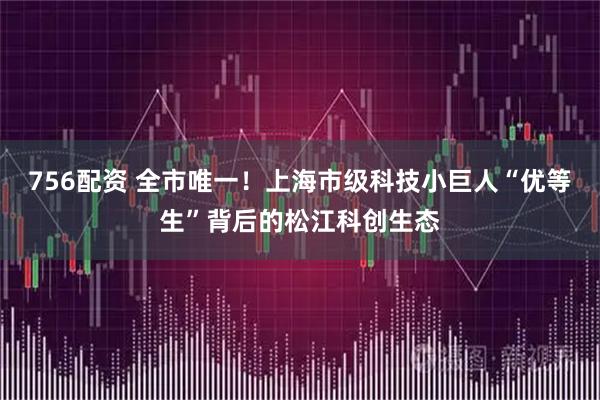 756配资 全市唯一！上海市级科技小巨人“优等生”背后的松江科创生态
