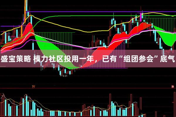 盛宝策略 模力社区投用一年，已有“组团参会”底气