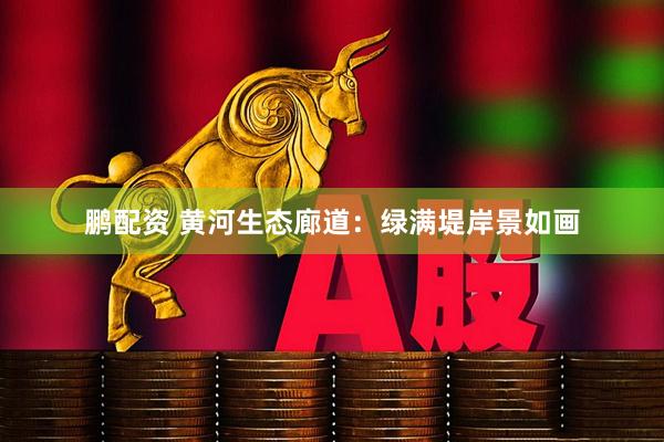 鹏配资 黄河生态廊道：绿满堤岸景如画
