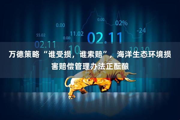 万德策略 “谁受损，谁索赔”，海洋生态环境损害赔偿管理办法正酝酿