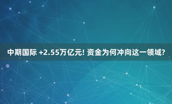 中期国际 +2.55万亿元! 资金为何冲向这一领域?